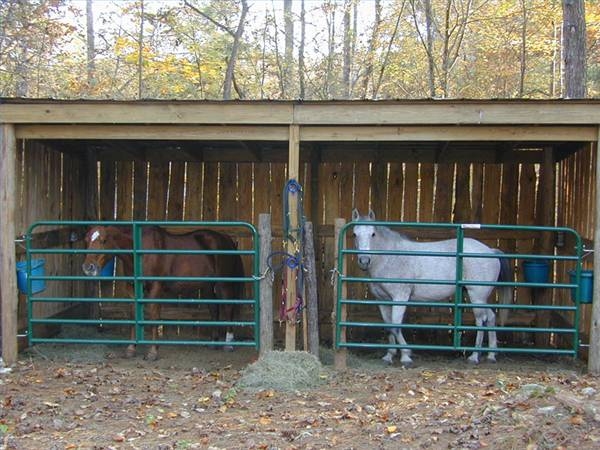 DIY Easy Horse Shelter  EASY DIY and CRAFTS