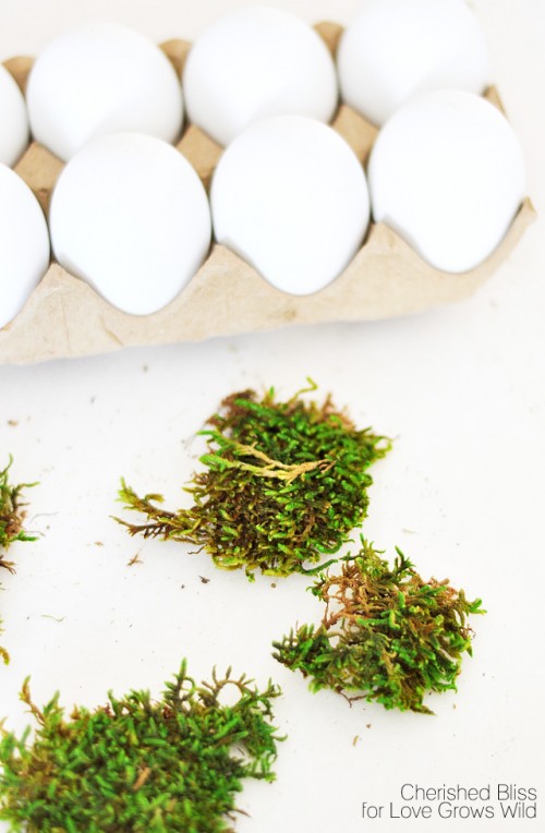 DIY Moss covered Easter Eggs