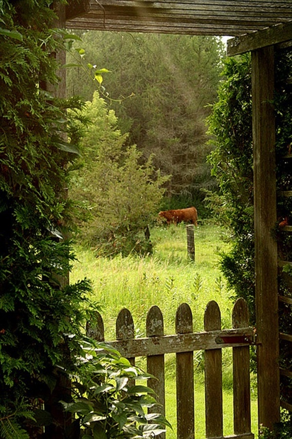 Wonderful DIY Fence Installation