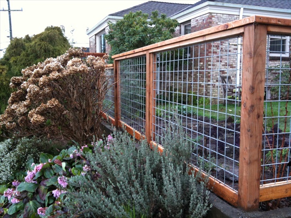 10 DIY Cheap Garden Fencing Projects