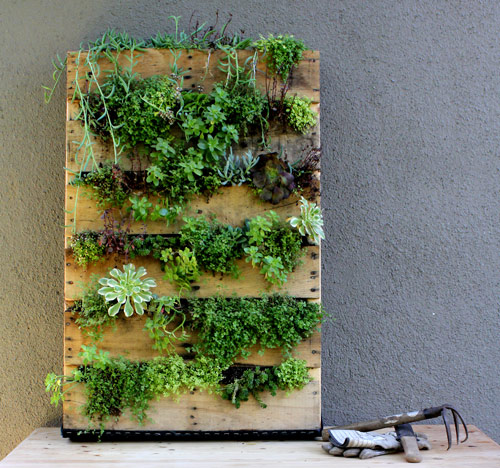 Innovative DIY Pallet Vertical Garden Ideas