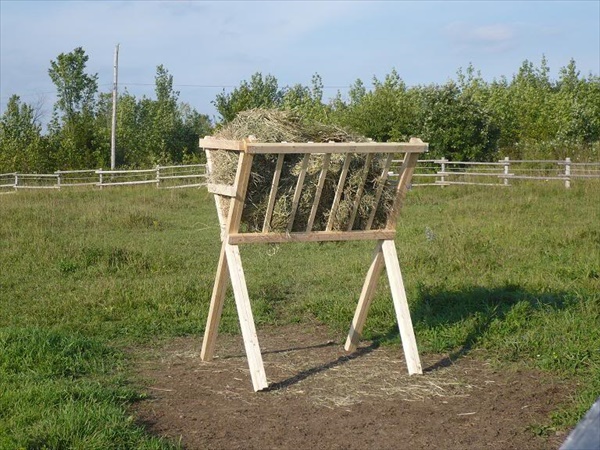 Build Your own Horse Pallet Feeder