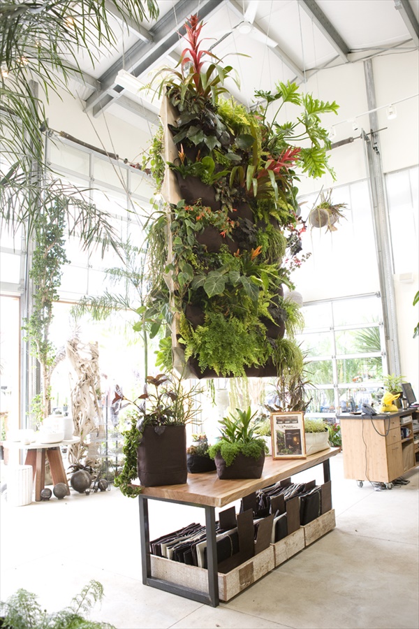 DIY Innovative Indoor Gardening Ideas