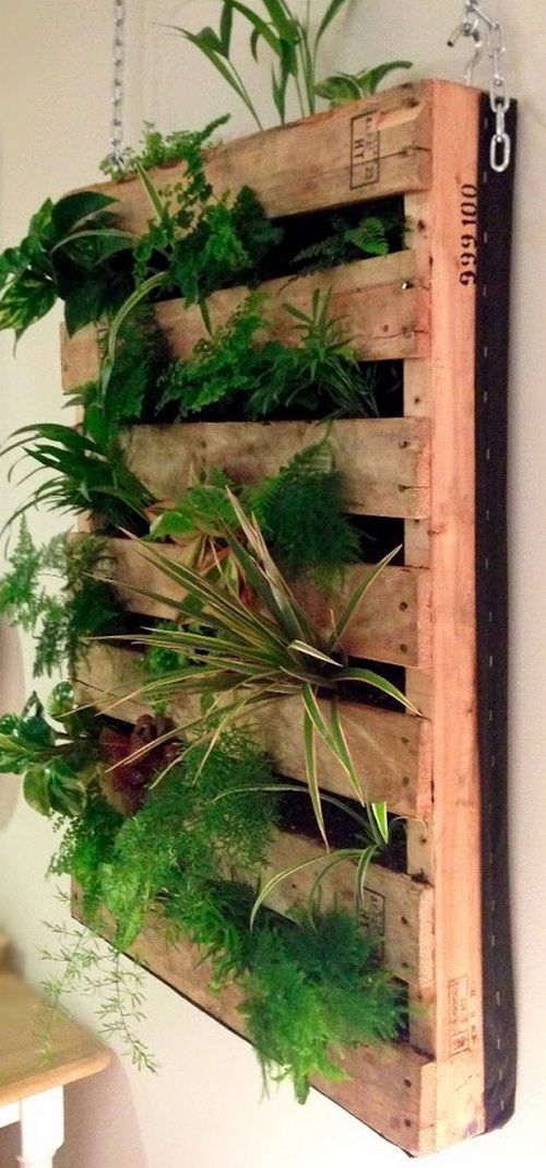 DIY Pallet Vertical Gardens