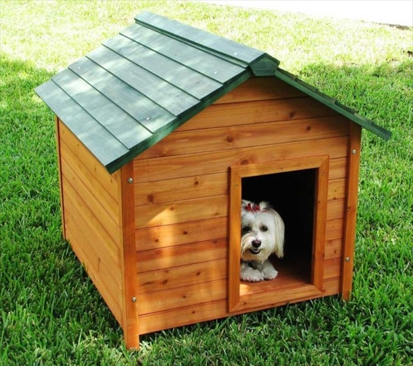 Build a Pallet Dog House