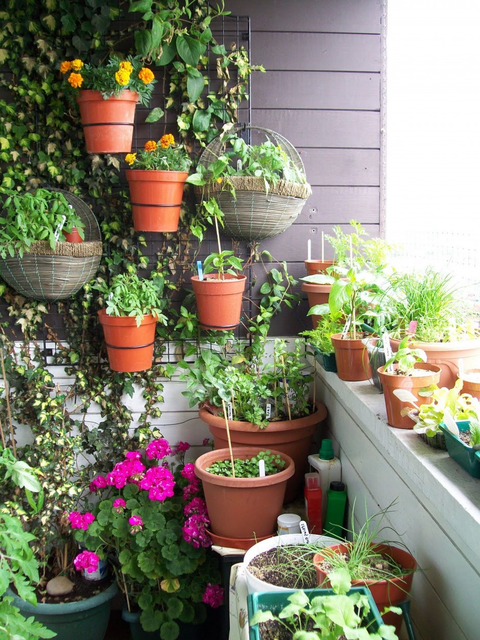 DIY Gardening-Make your living space Healthy