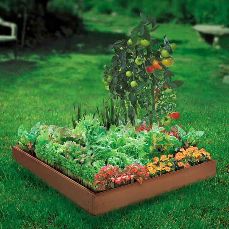 10 Innovative Food Gardens Ideas