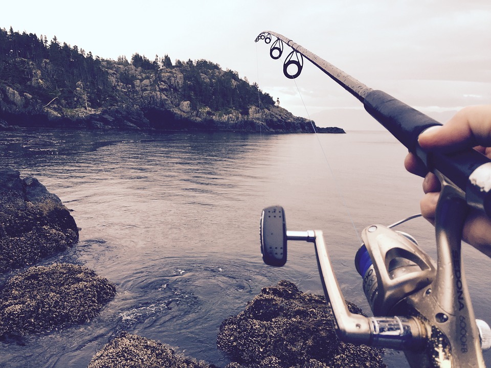 What is the difference between a fishing pole and a fishing rod?