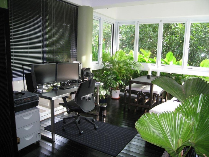 Bring Nature Vitality to Your Office