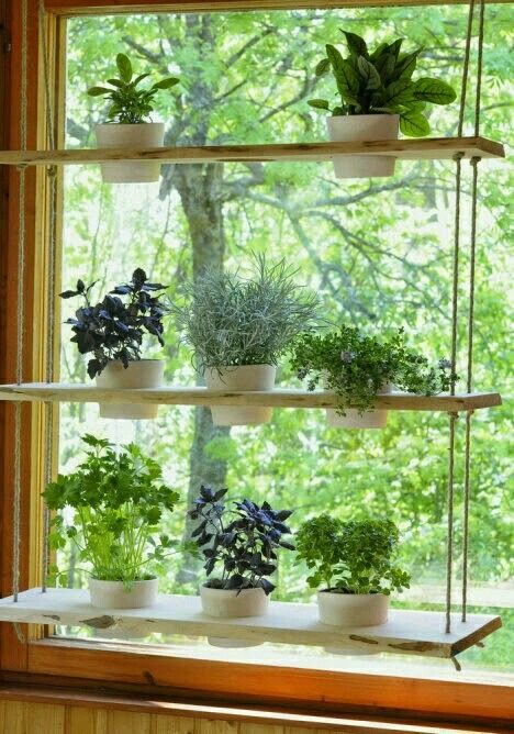 Inspiring Gardens DIY Ideas