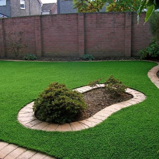 How to Have a Perfect Lawn