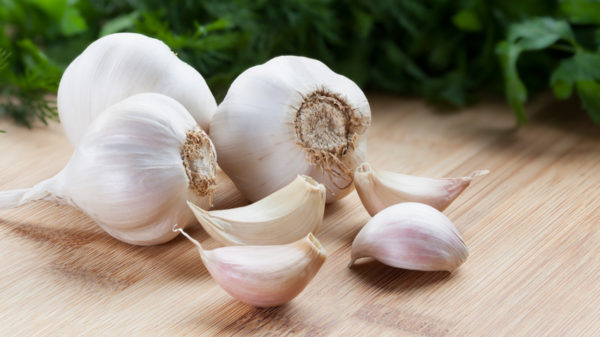 How to Grow Garlic-DIY Guide