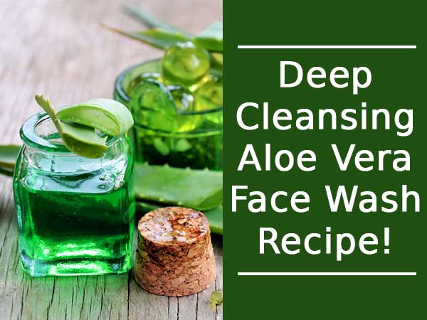 DIY Herbal Skin Care Recipe-Aloe Vera Face Wash