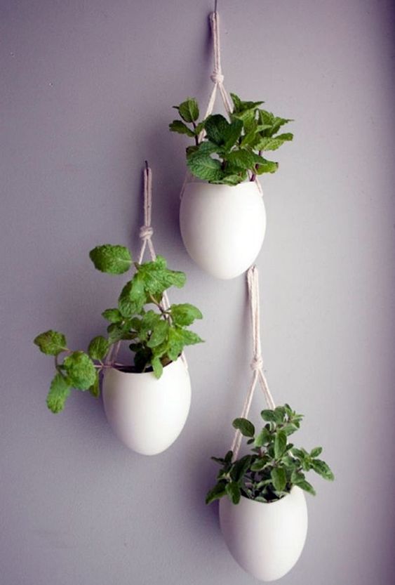 Modern Indoor Hanging Mini Planters