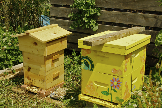 8 Amazing Honey Bee Shelter DIY Plans