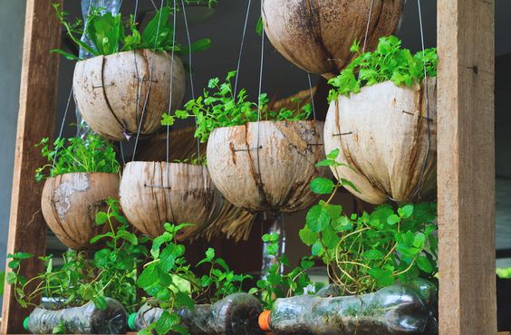 10 Fabulous Coconut Shell Planters Inspirational DIY Ideas