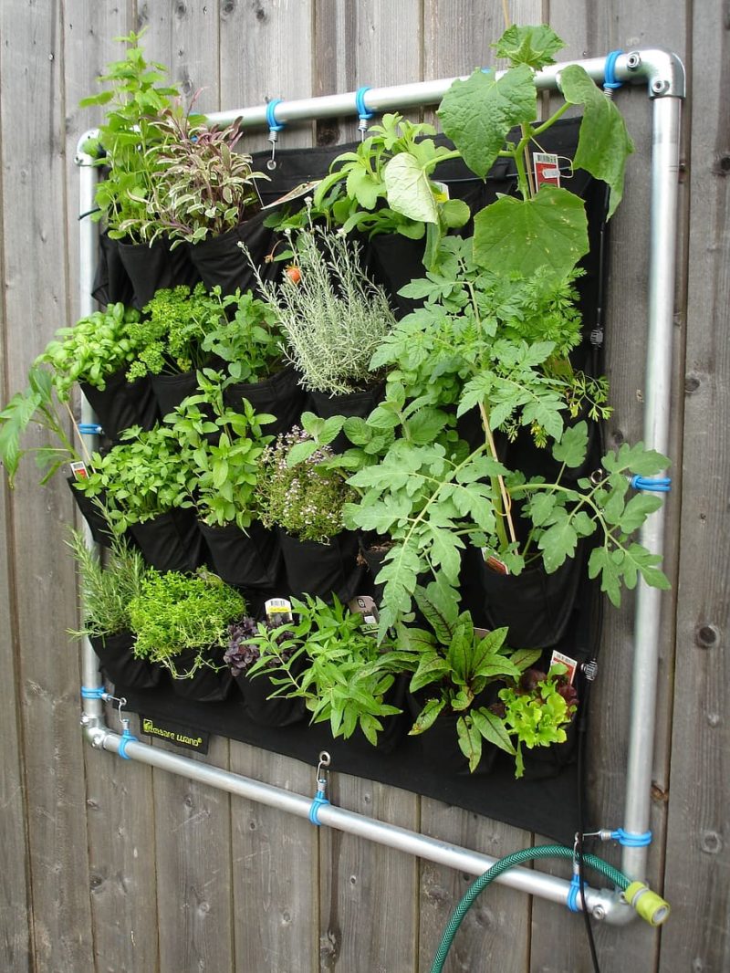 Best DIY Ideas to Start Home Gardening