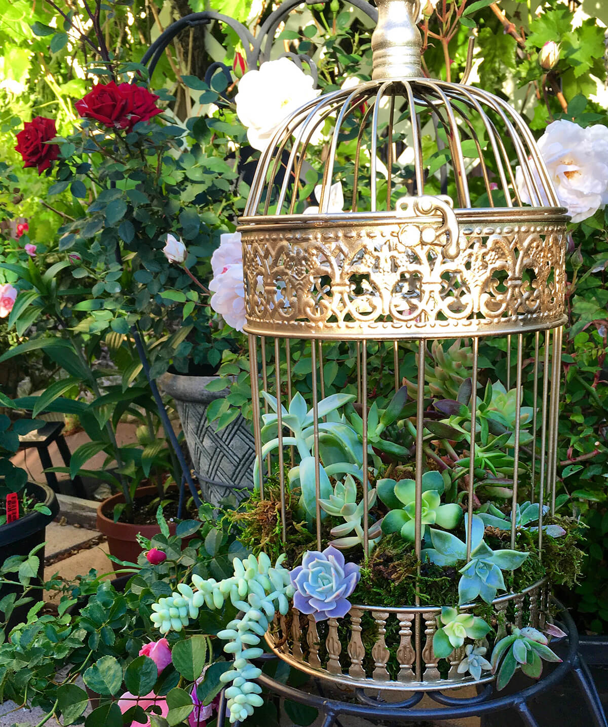 Easy Birdcage Planter Ideas for Garden Decor