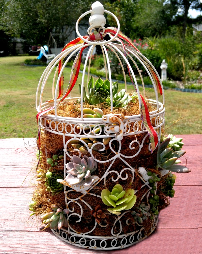 Wonderful and Easy DIY Birdcage Planters Ideas