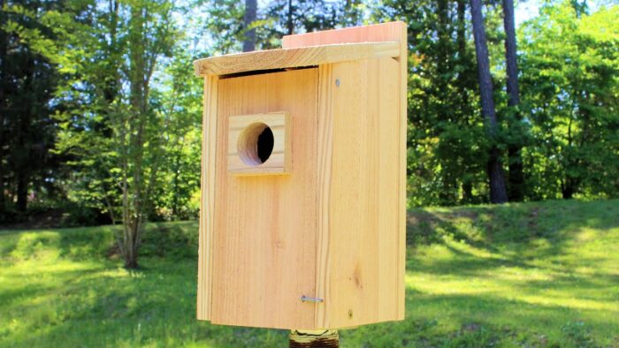 How to Make Bird Feeder-DIY Wood Bird Feeder Ideas