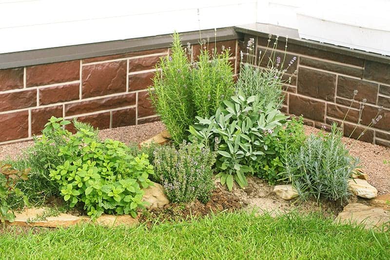 5 Amazing DIY Corner Garden Ideas