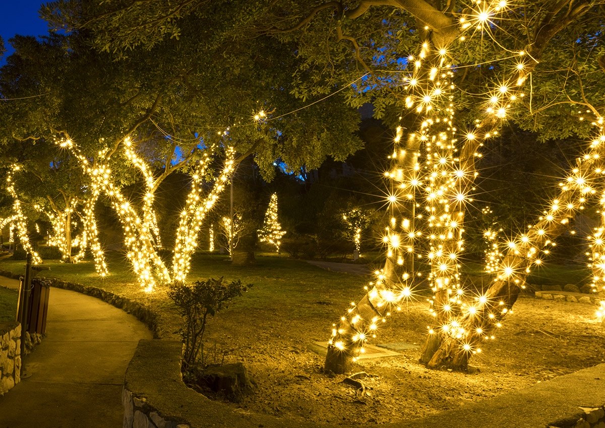 How To Properly Put Outdoor Trees Fairy Lights