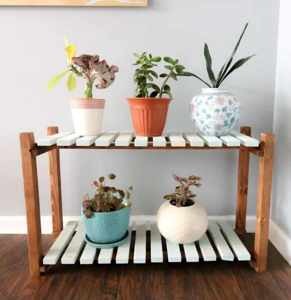 Do It Yourself Privacy Planter Ideas