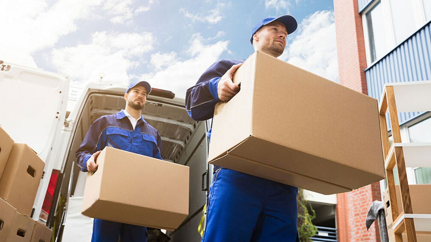 Professional Moving Services: Domestic Moving and Furniture Assembly