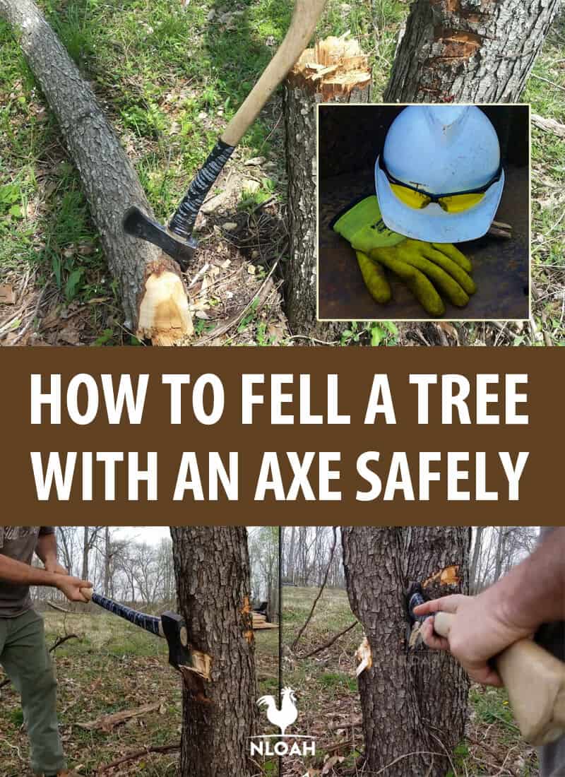 How to Cut Down a Dead Tree by Hand if You Don’t Have a Chainsaw