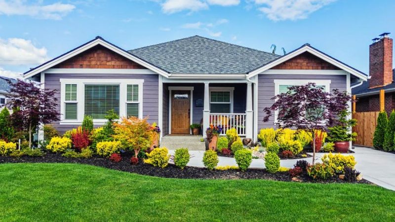 7 Expert Tips for Eye-Catching Front Yard Landscaping