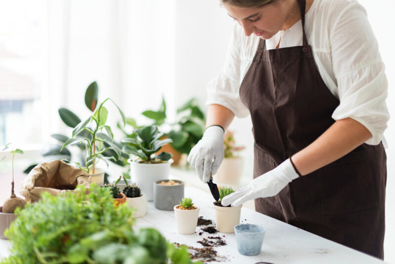 5 Easy and Amazing Kitchen Gardening Ideas