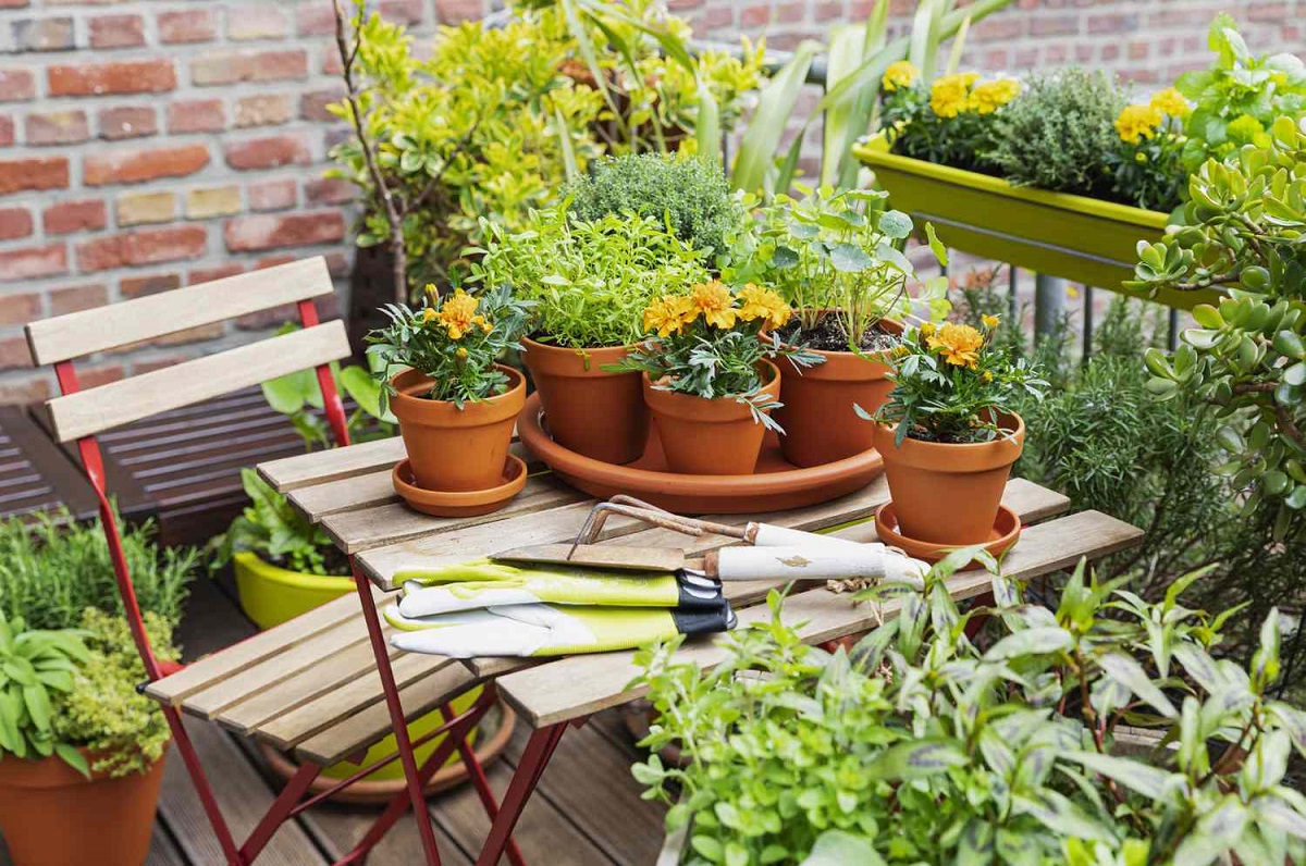 The Gardening Trends for 2024