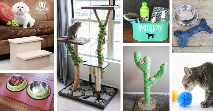 Lovely Budget-Friendly DIY Pet Projects