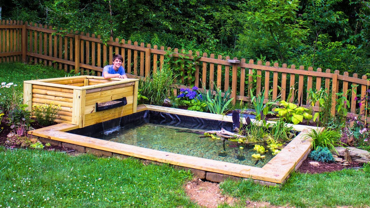 Build a Home Mini Water Garden with a DIY Pond Box